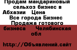 Продам мандариновый сельхоз-бизнес в Абхазии › Цена ­ 1 000 000 - Все города Бизнес » Продажа готового бизнеса   . Челябинская обл.